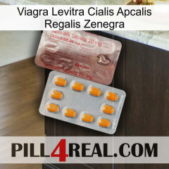 Viagra Levitra Cialis Apcalis Regalis Zenegra new13